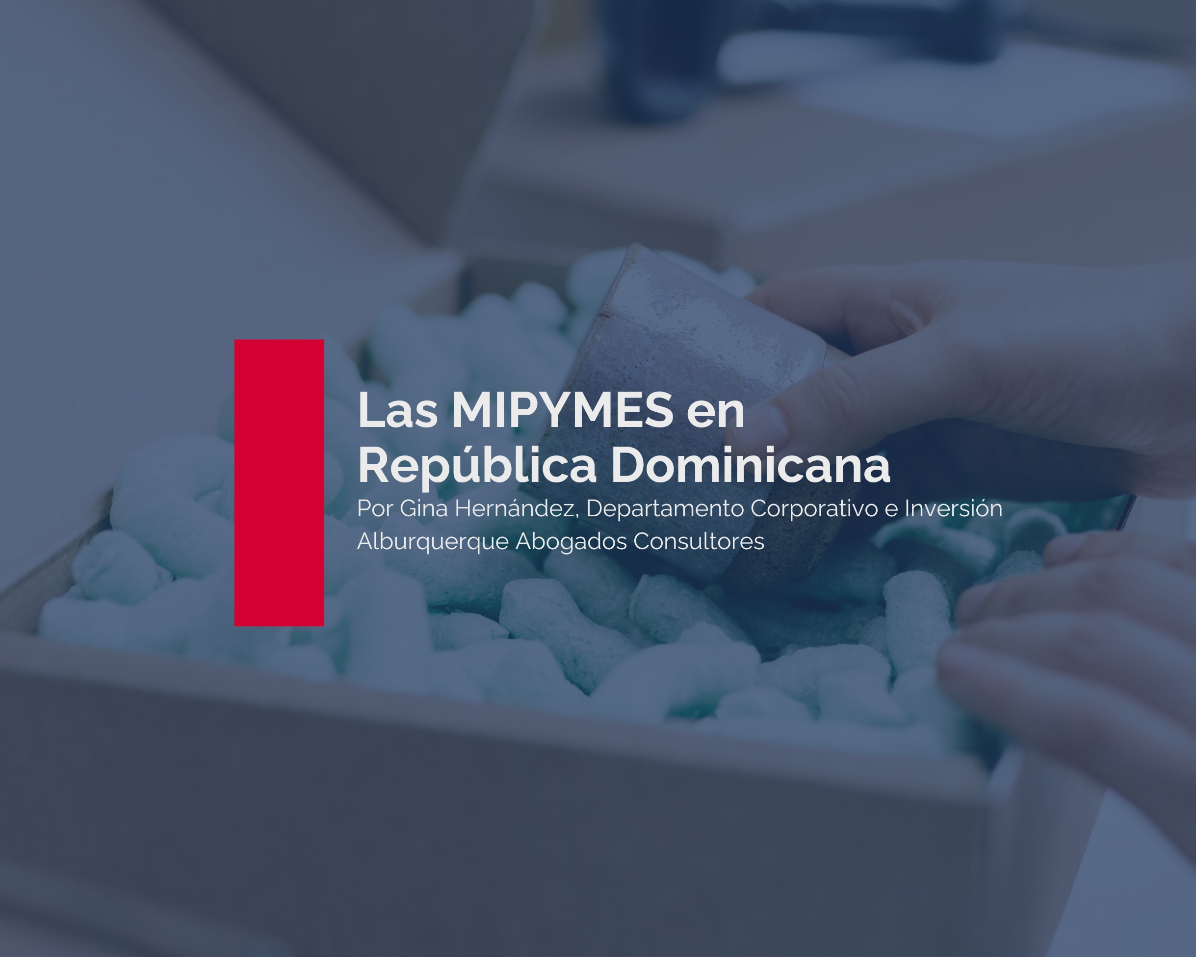 The MSMEs in the Dominican Republic